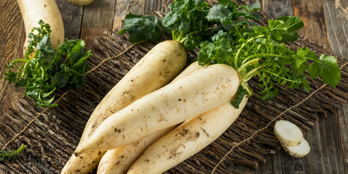 Cabbage and Daikon Radish Stirfry Agricultural Institute of Marin