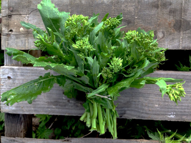 Lemony Roasted Potatoes and Broccoli Rabe