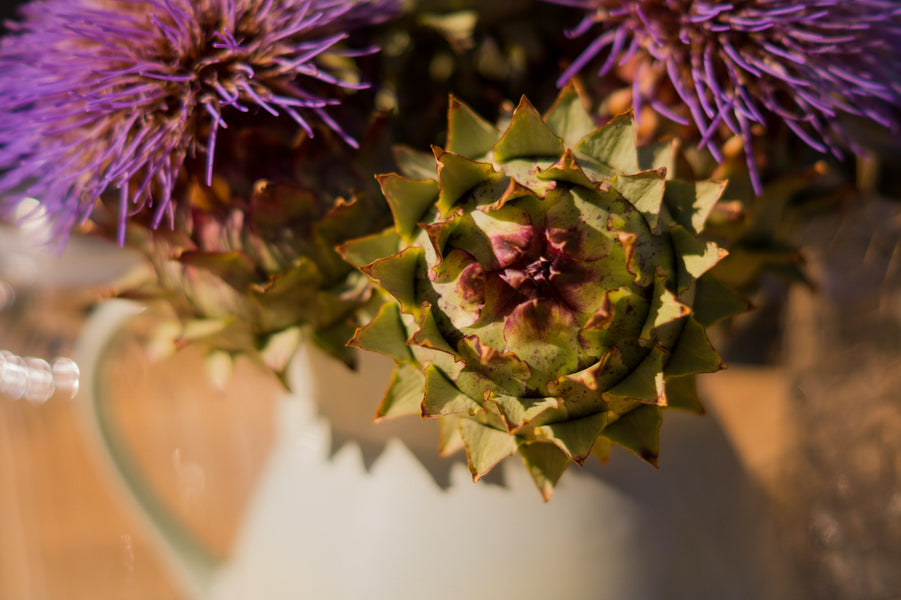 Cardoon Salad