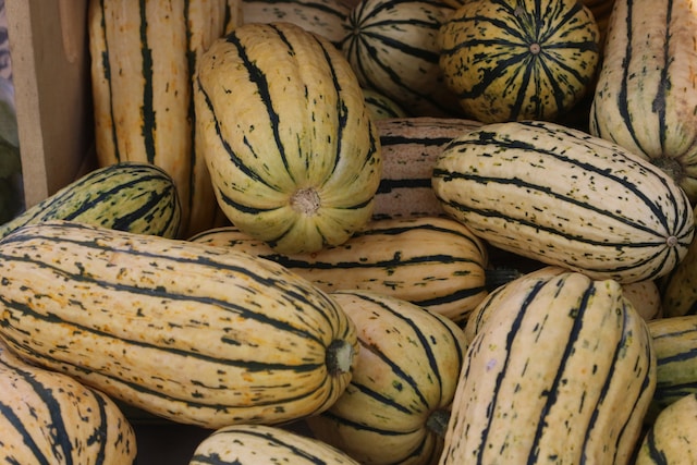Whole Roasted Delicata Squash